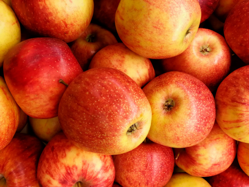 Fête de la Pomme le dimanche 27 septembre 2026 à Gasny